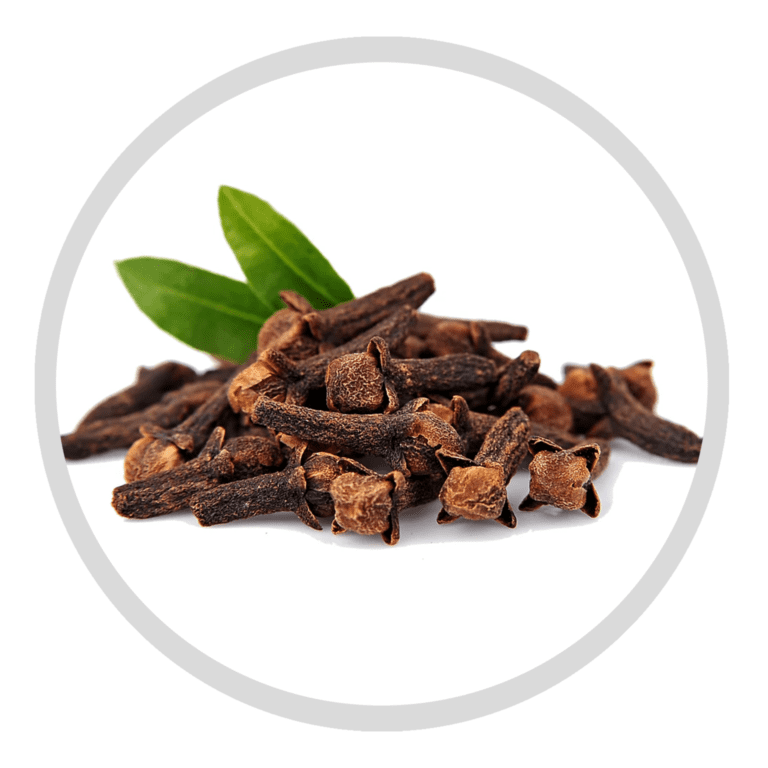 Clove