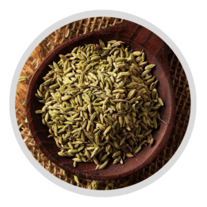 Fennel