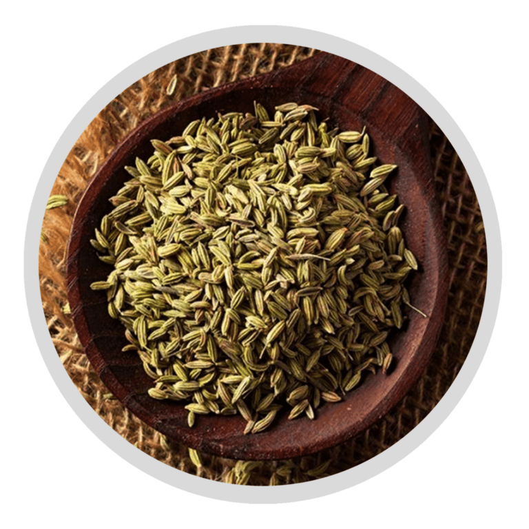 Fennel