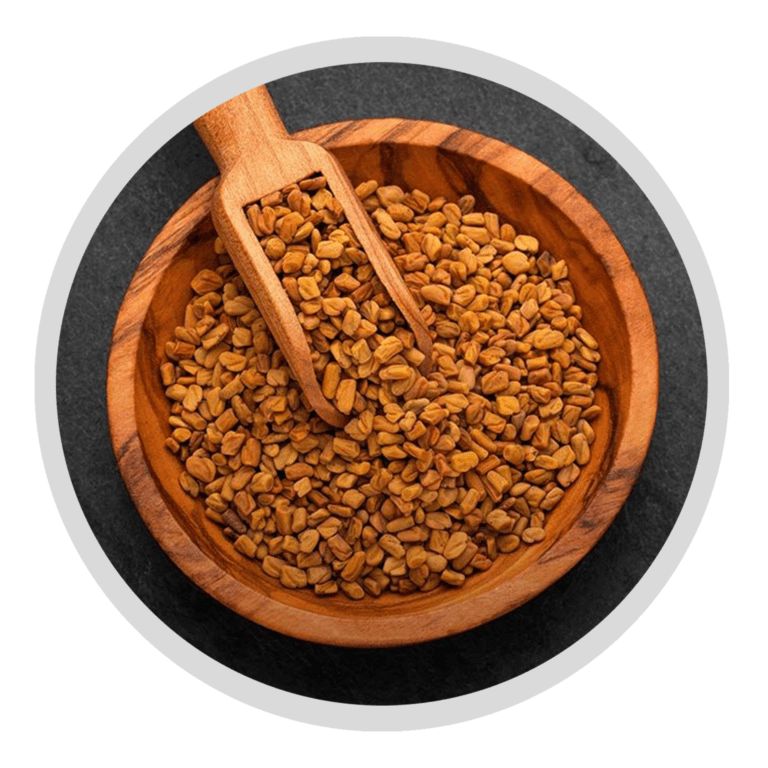 Fenugreek