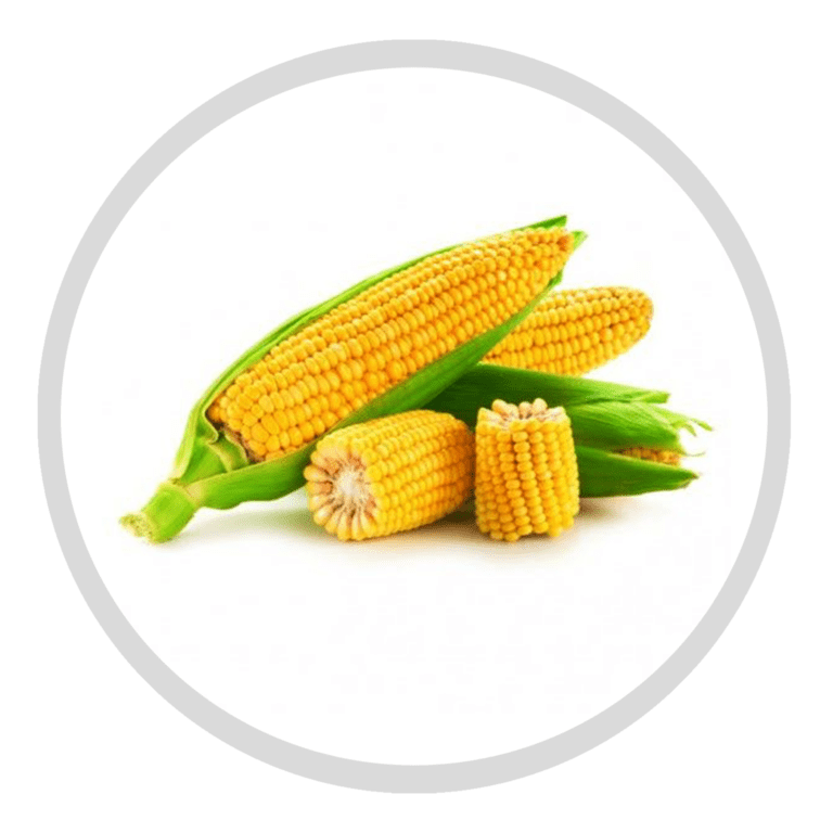 Frozen Corn On Cob