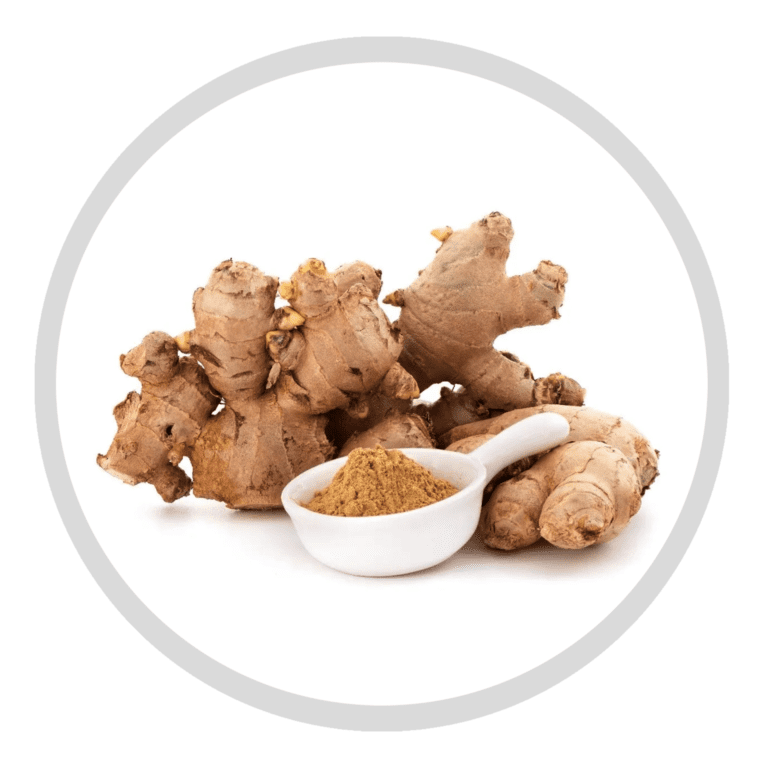 Ginger