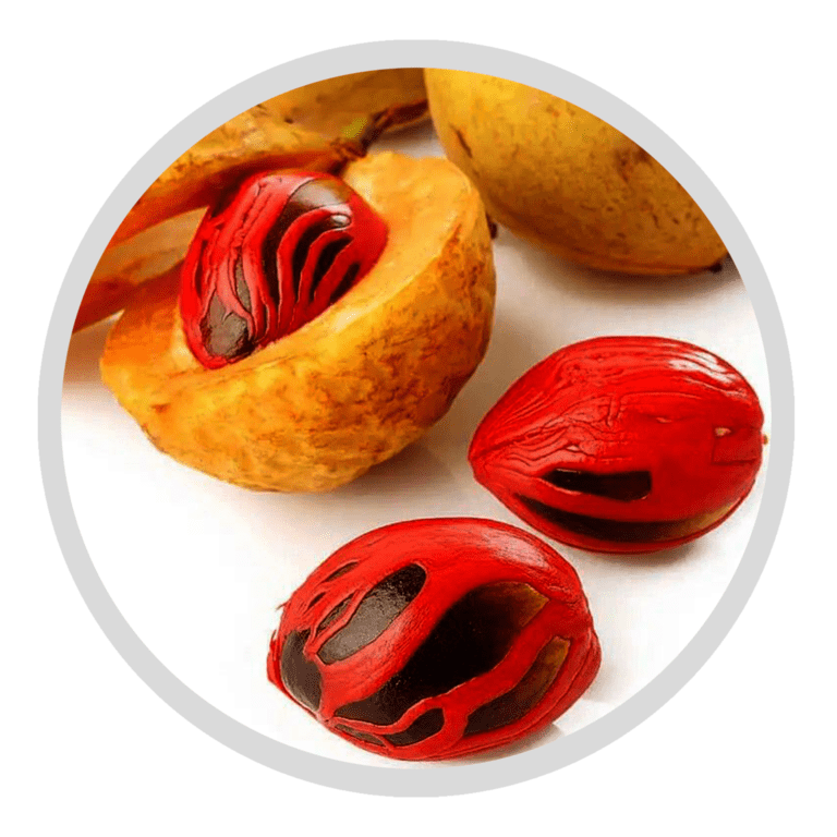 Nutmeg Mace