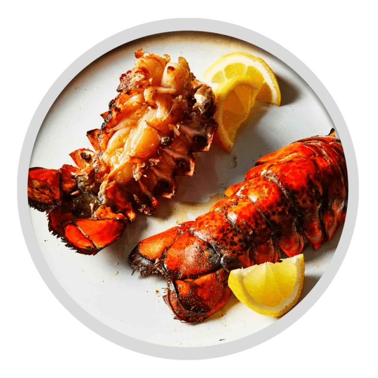Sand Lobster