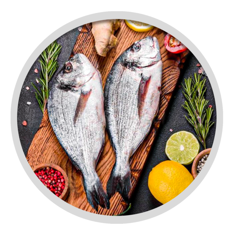 Sea Bream