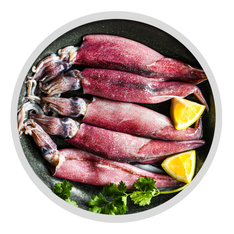 Squid