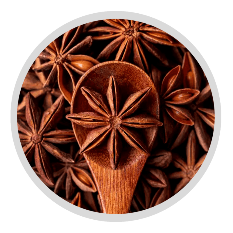 Star Anise